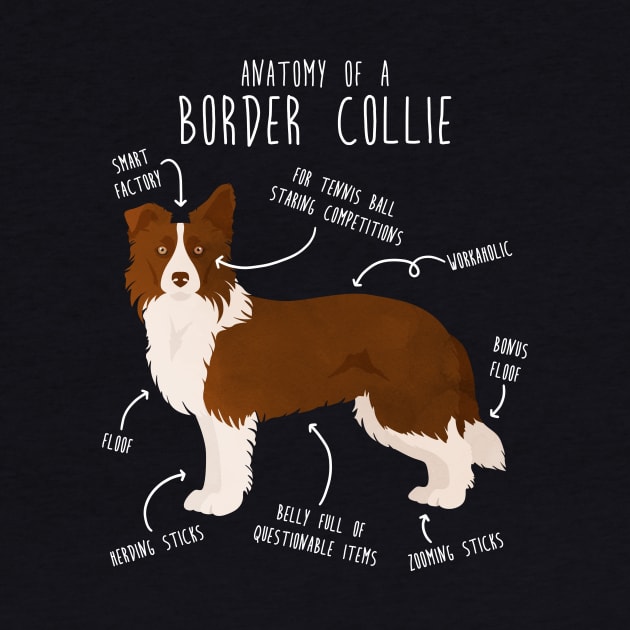 Border Collie Dog Anatomy by Psitta